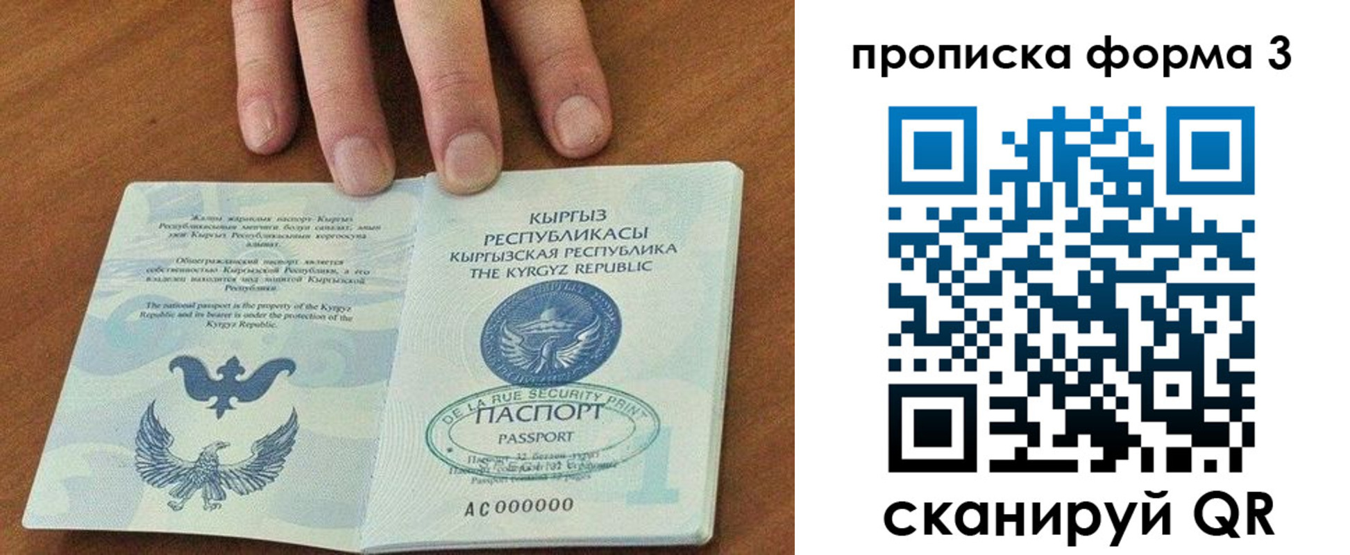 прописка 2025 в Шилке